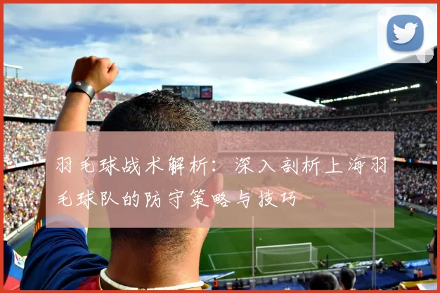 羽毛球战术解析：深入剖析上海羽毛球队的防守策略与技巧