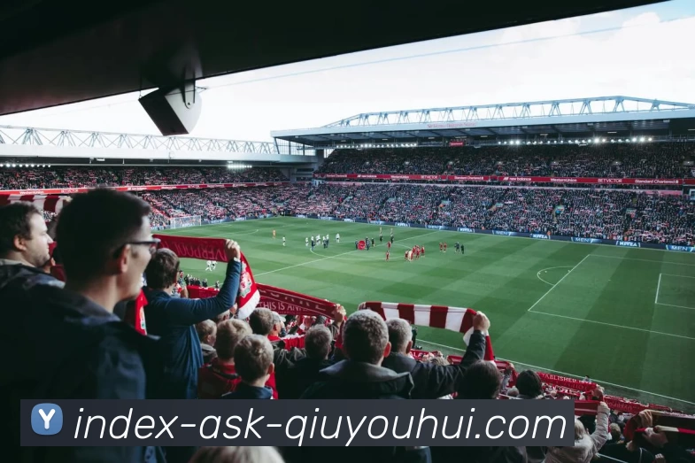 App Interface Preview